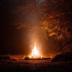 Wildfire Nights