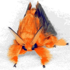 chiptune, 8-bit and fakebit