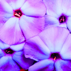 The Opposite of Futility