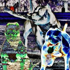 MMA SHAWTY ^IM A DOG^ (PROD BY SLAVE 0.2)