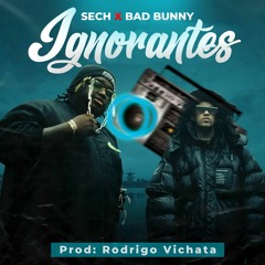 96 Ignorantes - Bad Bunny ✘ Sech ✘ V I C H A T A D J #2K20