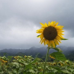 Body - Jordan Suaste (cover) 2020