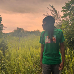 maajins - fables (slowed + reverb)