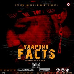 Yaa Pono - Facts