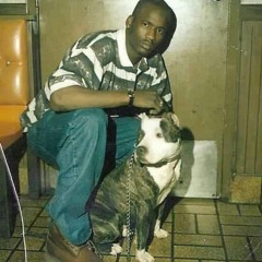 All of this Gangster Rapping