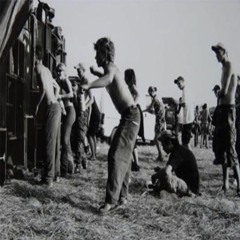 MOOSTIK (Volum'/ tdf rec.) Origins 28 03 20