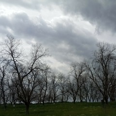 (Blessing) ft necroknight333 [Dubstep Track]