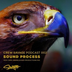 Sound Process - Crew Savage Podcast 002 - (100% own unreleased productions mix)