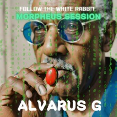 Follow The White Rabbit | Alvarus G | MORPHEUS Session