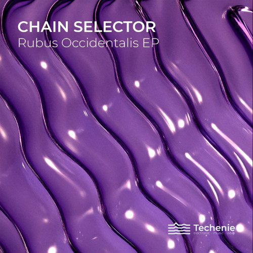 Chain Selector  - Deep forest