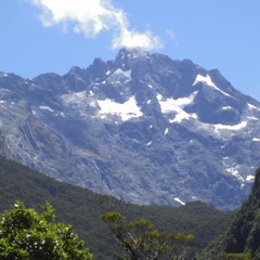 Aotearoa Spring Sunday Session