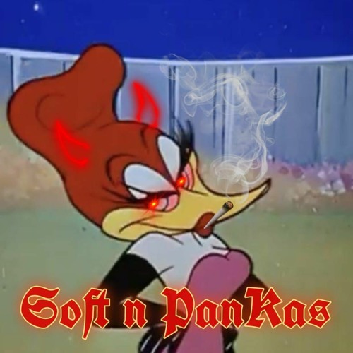 SOFT N PANKAS - FUNK SET | SKYE DJ