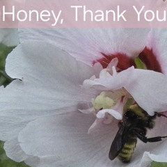Honey, Thank You