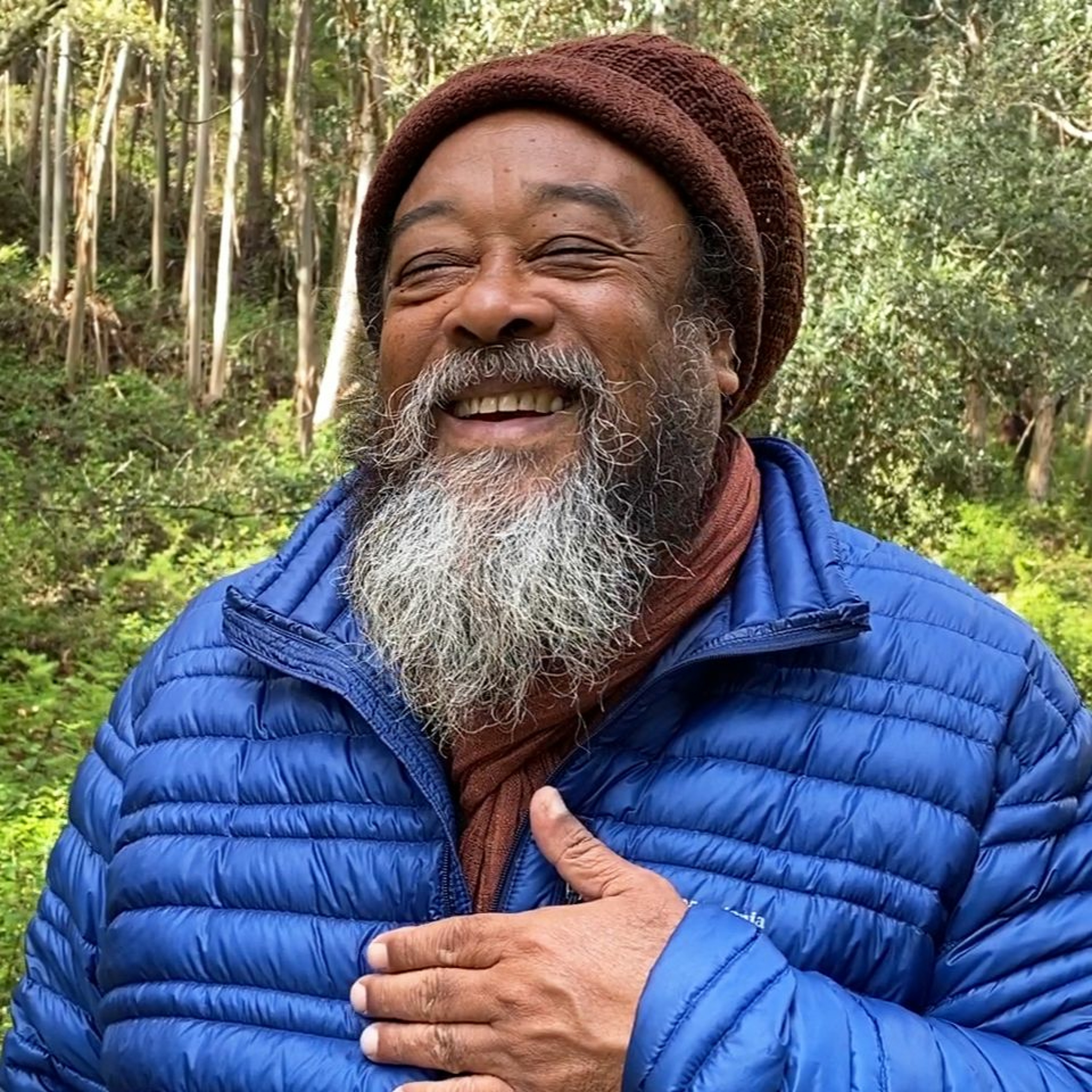 A Morning with Moojibaba in the Forest