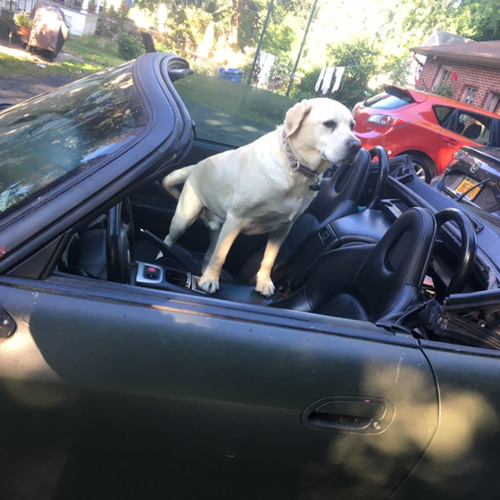 Good Life - Bonnie And Clyde (TfM Edit)