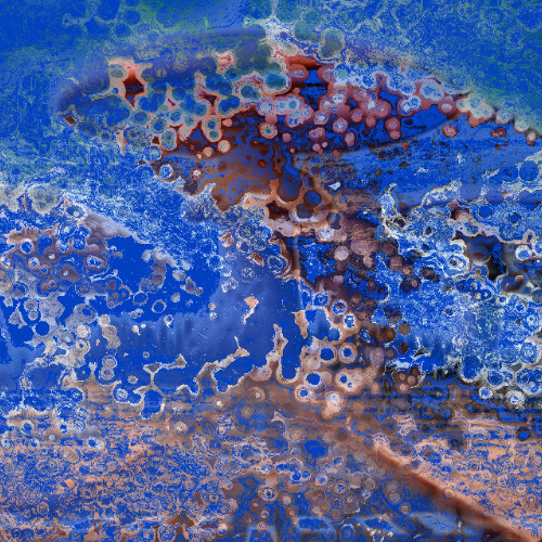 8100dn0153