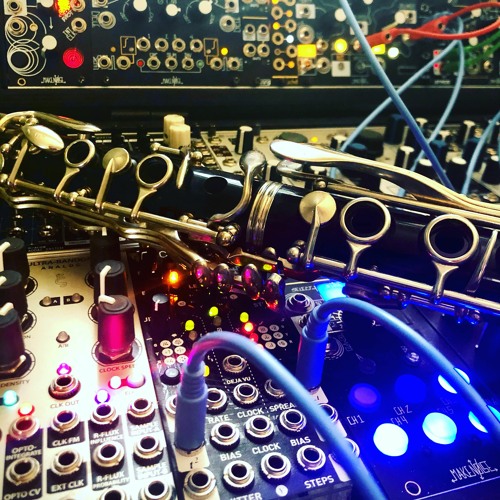 070521005 Shared System Leibniz Clarinet