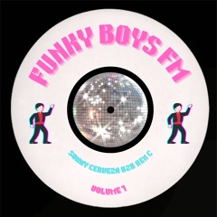 FUNKY BOYS FM VOL. 1