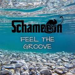 Schameleon - Feel The Groove DJ Set