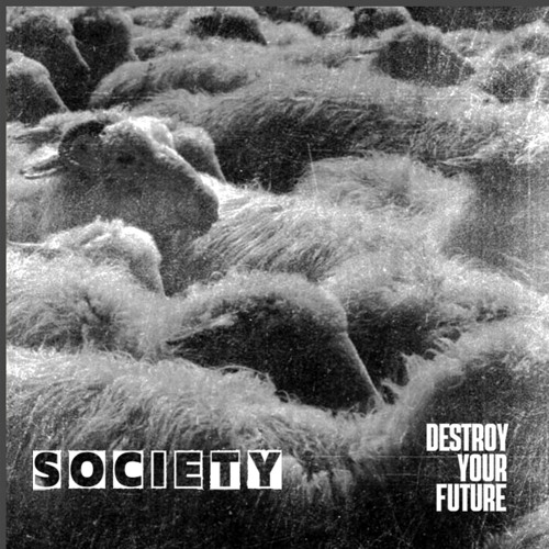 Destroy Your Future feat. Radney - Society