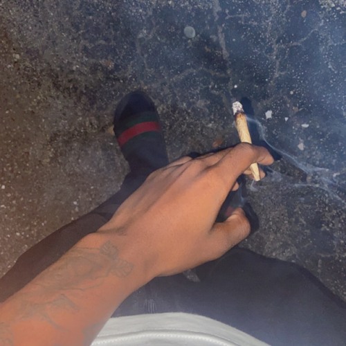 Wealthy Junkie