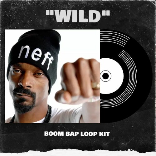 [FREE] Boom Bap Loop Kit / Sample Pack (90s Old School Melody Loops) "Wild"