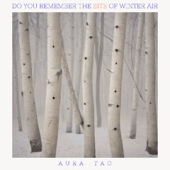 Do You Remember the Bite of Winter Air (demo)