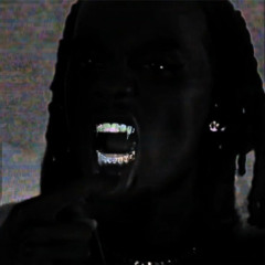 24 SONGS-PLAYBOI CARTI