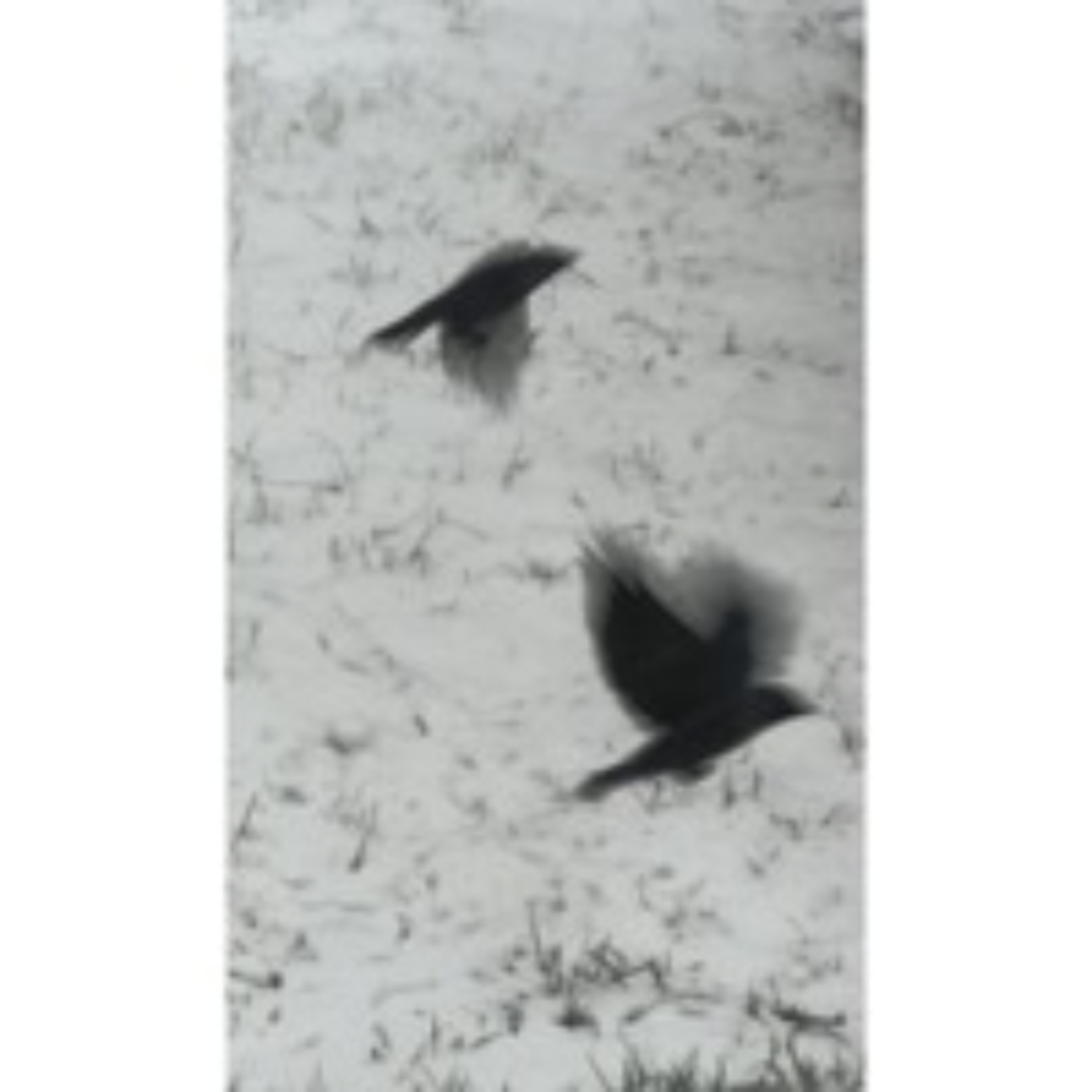 Winter Crows episode artwork