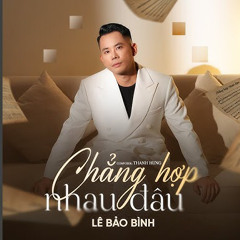 Chẳng Hợp Nhau Đâu - Huy Pt Remix
