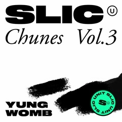 SLIC CHUNES VOL.3 // YUNG_WOMB