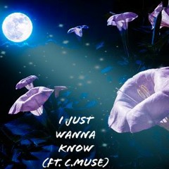 I Just Wanna Kno Ft c.muse