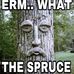WHAT THE SPRUCE?