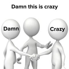 DAMN&CRAZY/FREESTYLE (prod.ATS)