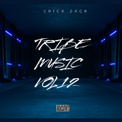 Stream TRIBE MUSIC VOL 12 (ERICK ZACK) by ERICK ZACK OFICIAL