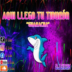 AQUI LLEGO TU TIBURON (GUARACHA)- DJ Eiden (130 bpm)- GUARACHA 2020