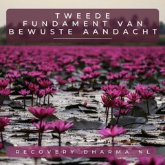 Tweede Fundament Van Bewuste Aandacht (Recovery Dharma NL)