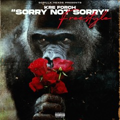 Sorry Not Sorry freestyle