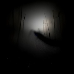 Dancing In The Meadow