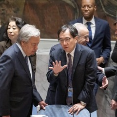 March: Japan Says the UN Security Council Is Struggling