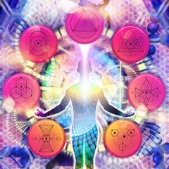 TOMMY-G MORPHOGENESIS