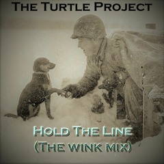 Hold The Line (The wink Mix) - The Turtle Project