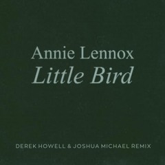 Annie Lennox - Little Bird (Derek Howell & Joshua Michael Remix)