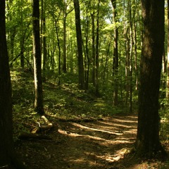 Mina, Lakes and Rivers (Demo)