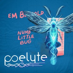 Numb Little Bug - Em Beihold (Poelyte DnB Flip)