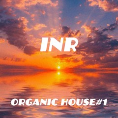 INR - Organic House #1