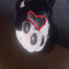 spellbound (prod.erlax)