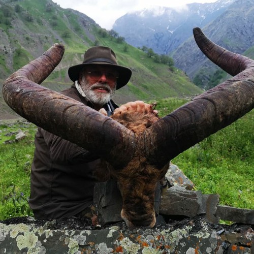 Luca Maxim  My Fault Ft Mofe