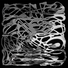 Premiere: Vanity Productions - Vanishing Point (Ireen Amnes Remix) [Polymorphism Records]