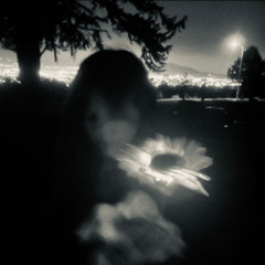 Firewall Halo (remastered)